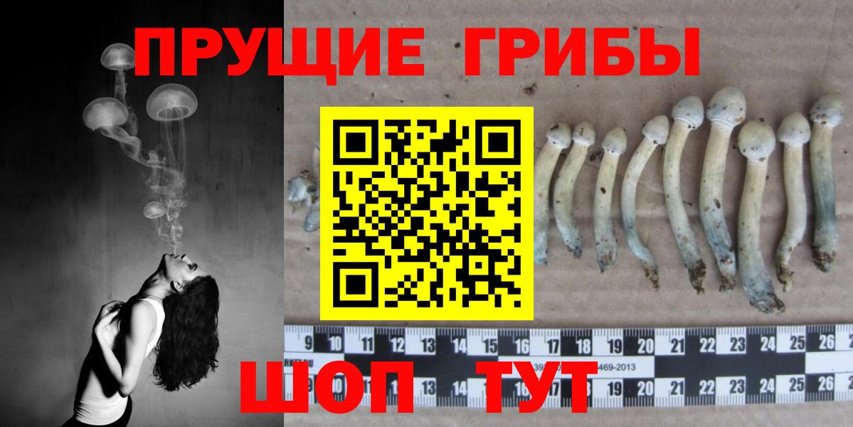 Батайск  Галлюциногенные грибы GOLDEN TEACHER  Вход с VPN 